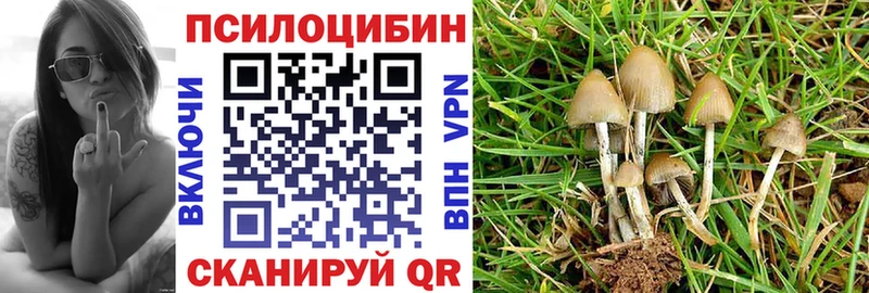 где купить наркотик  Карабаш  мега зеркало  Галлюциногенные грибы мухоморы 